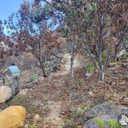 Setting up camera traps